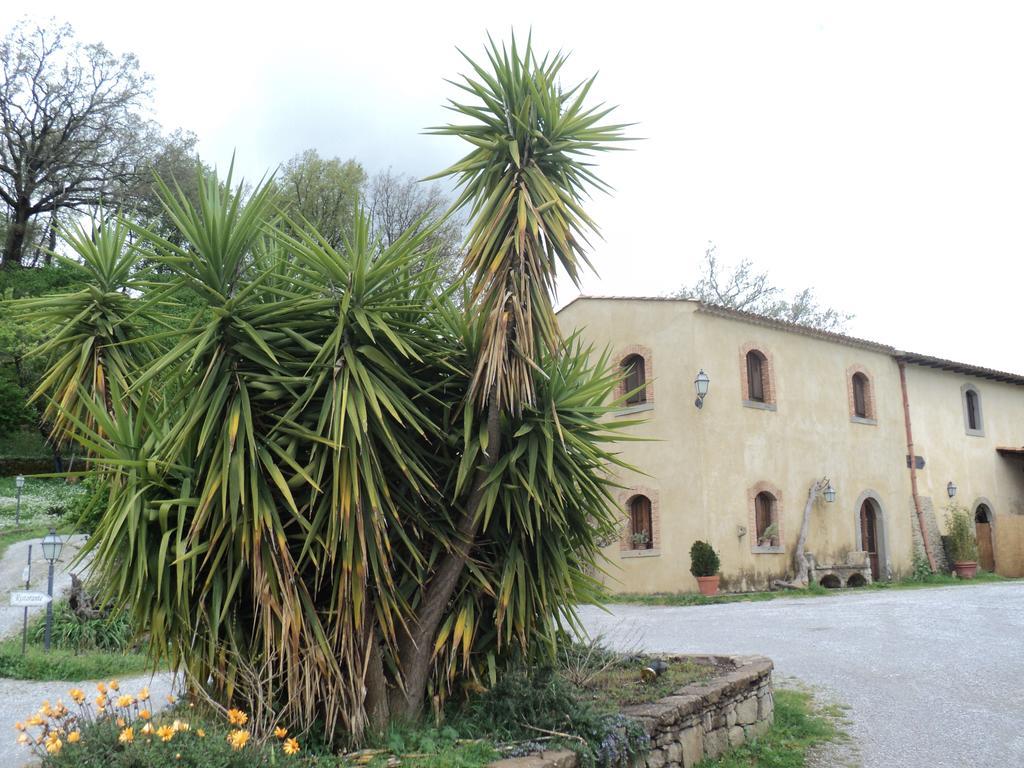 Вилла Agriturismo Il Daino San Piero Patti Экстерьер фото